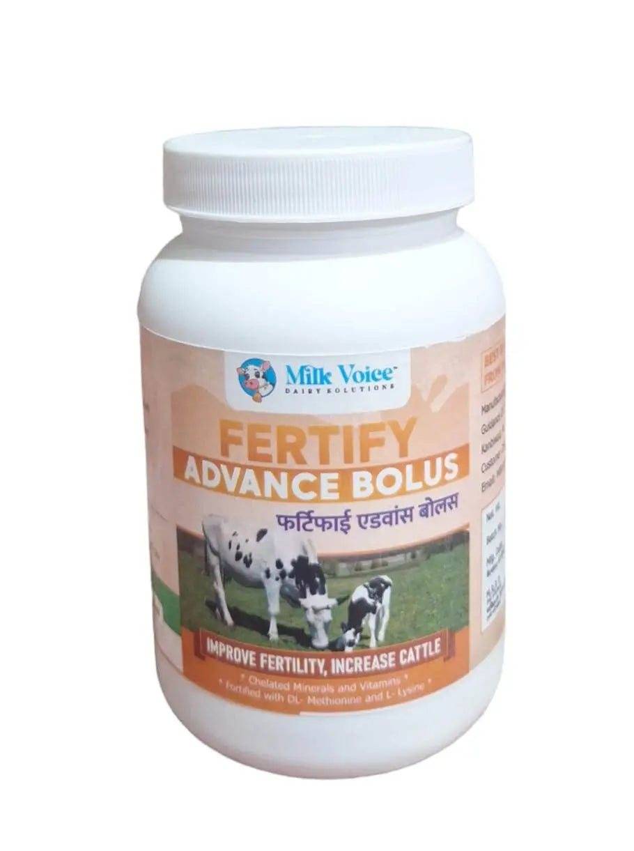 Fertify Advance Bolus for Cattle – Improve Fertility, Reproductive Health & Heat Signs | 21 Bolus Pack - Milk Voice Dairy Solutions 