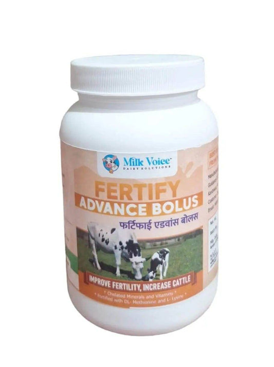 Fertify Advance Bolus for Cattle – Improve Fertility, Reproductive Health & Heat Signs | 21 Bolus Pack - Milk Voice Dairy Solutions 