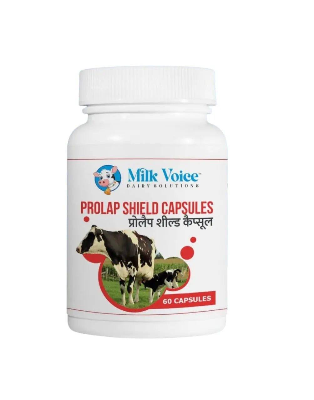 Prolap Shield Capsules – Herbal Supplement for Uterine Prolapse in Cattle (60 Capsules) - Milk Voice Dairy Solutions 