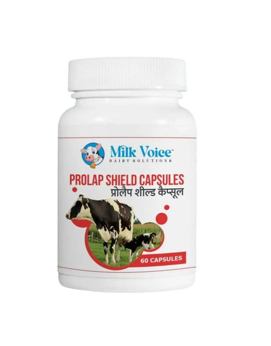 Prolap Shield Capsules – Herbal Supplement for Uterine Prolapse in Cattle (60 Capsules) - Milk Voice Dairy Solutions 