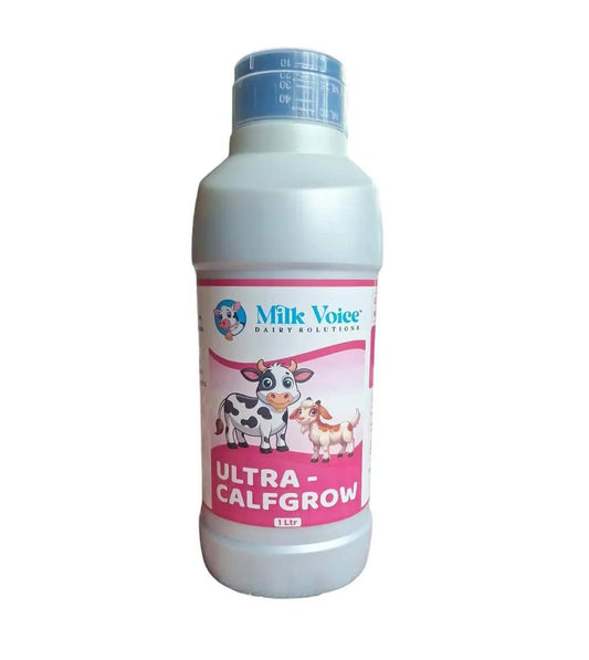 Ultra Calfgrow supplement bottle by Milk Voice for calf growth and immunity.